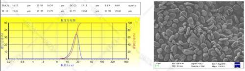 電池材料專用粉碎整形機(jī)